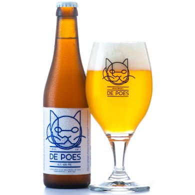 De Poes Export Pilsner in bijhorend bierglas uitgeschonken