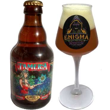 Uitgeschonken Tamera in bijhorend bierglas