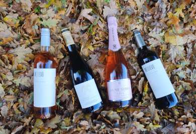 De vier wijnen van de maand november